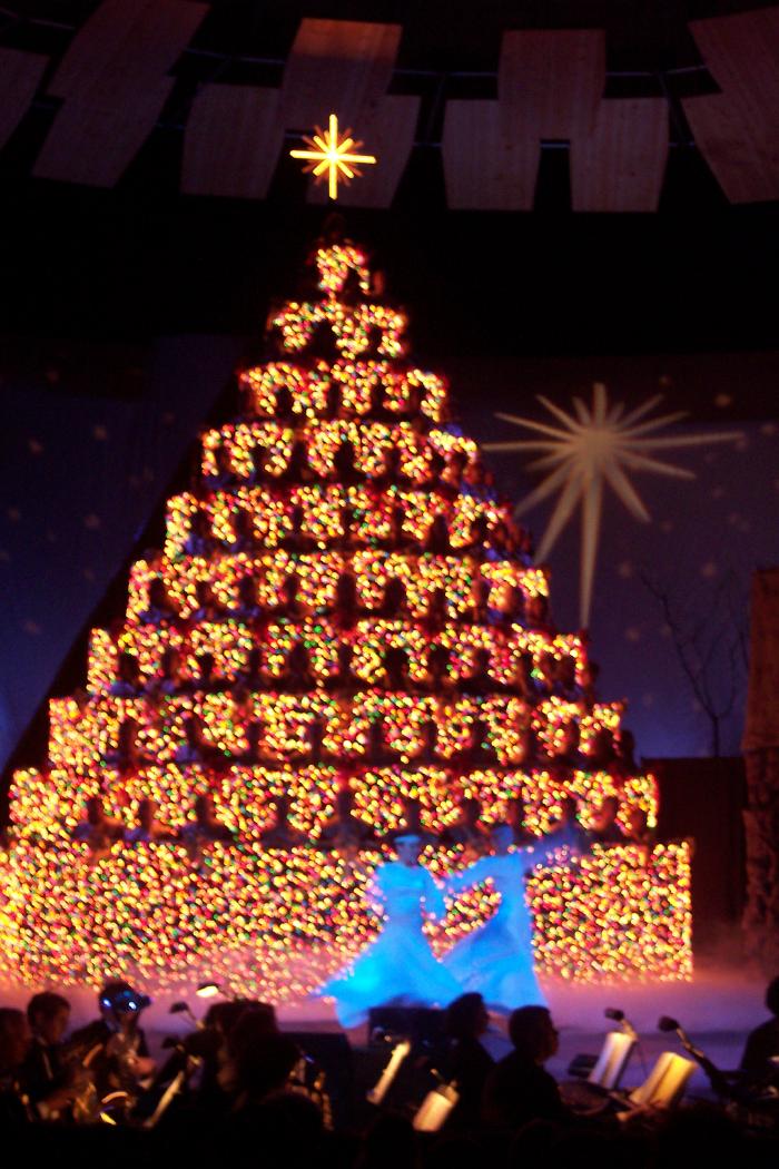 tree